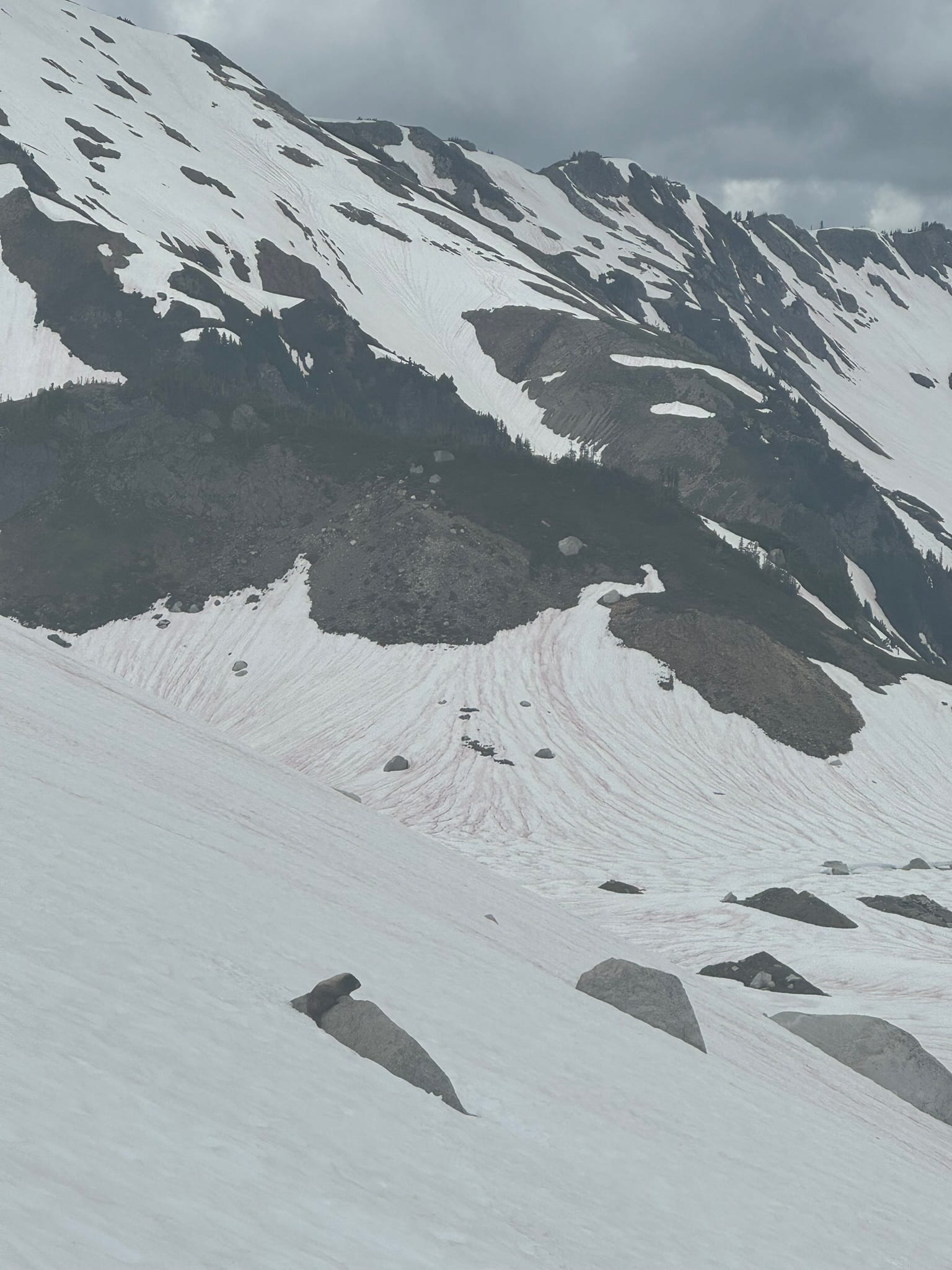 Marmot land!